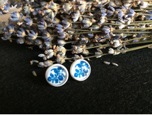 ������ (1).jpg