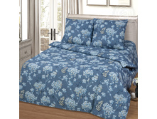 ������ ���� 220 ��