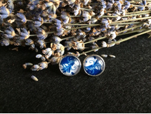 ������ (3).jpg