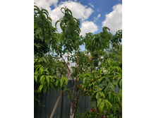 ������ "�������� ������"