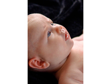 DSC 6485 �����.jpg