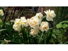 IMG 20190503 145452.jpg