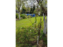 ����� "�����������"