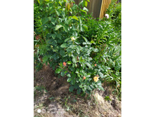 IMG 20190616 101301.jpg