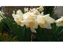 IMG 20190503 145511.jpg