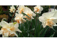 IMG 20190503 145402.jpg