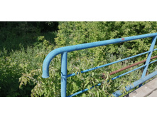 IMG 20190616 152612.jpg