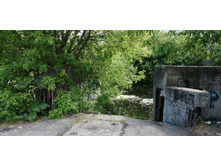 IMG 20190616 154851.jpg