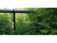 IMG 20190616 161352.jpg