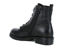 VEN-3149-1920-7 (2).jpg