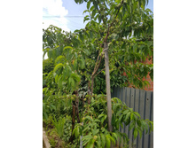 ������ "�������� ������"