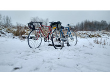 IMG 20181118 122936 HDR.jpg