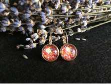 ������ (24).jpg