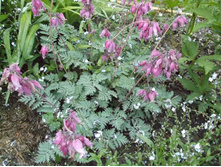 �������� ������������