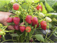 ��������� ����� ������ ��� 50 ��� (�������� 21��).jpg