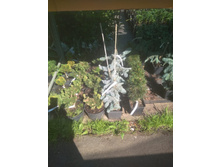 PHOTO-2019-06-10-13-51-43 (1).jpg