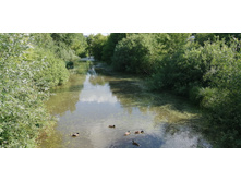 IMG 20190616 162814.jpg