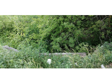 IMG 20190616 153830.jpg