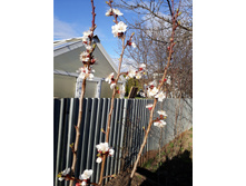 ������� "������ ��������