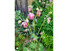 IMG 20190608 154502.jpg