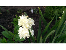 IMG 20190510 171729.jpg