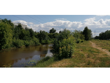 IMG 20190616 145203.jpg