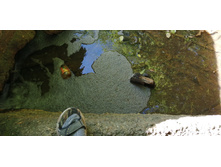 IMG 20190616 151916.jpg