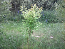 ������������� �����, 2018�