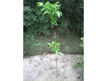 ����� ����������� ��������� 2019�