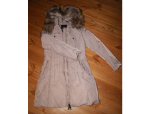 ������ ������ 46 ����. - 3000,00