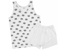 �������� �������:023/064�  170���