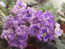 ��-���-������� ���.jpg