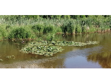 IMG 20190616 150509.jpg