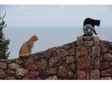 DSC00780 — �����.JPG