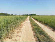 2019.06.08 16-24-03 (IMG 20190608 162403) GlebKa.jpg