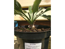 0-02-05-324bab405c75d5ef86cf3be95e07fe059f292bb7c9c909c31a982ab7b45ba4f3 51e85055.jpg