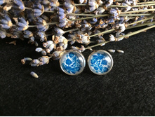 ������ (86).jpg