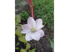 IMG 20190602 202346.jpg