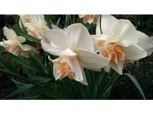 IMG 20190503 145408.jpg