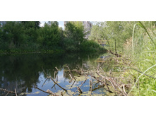 IMG 20190616 154633.jpg