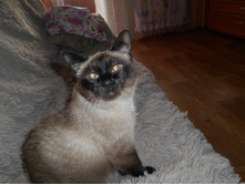 DSCN6211.JPG