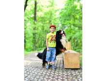 ���������� � ������������