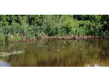 IMG 20190616 150735.jpg