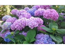 ��������� ������� (������ ���� � ����������� �� ����������� �����)