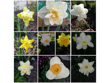 ��������� ������