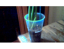 ���������� ��������