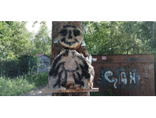 IMG 20190616 155650.jpg