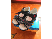 �������� ������� 29�