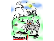 [3] FreeCat-and-slon-colors.jpg