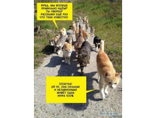 ����������� viber 2019-06-09 14-56-40.jpg